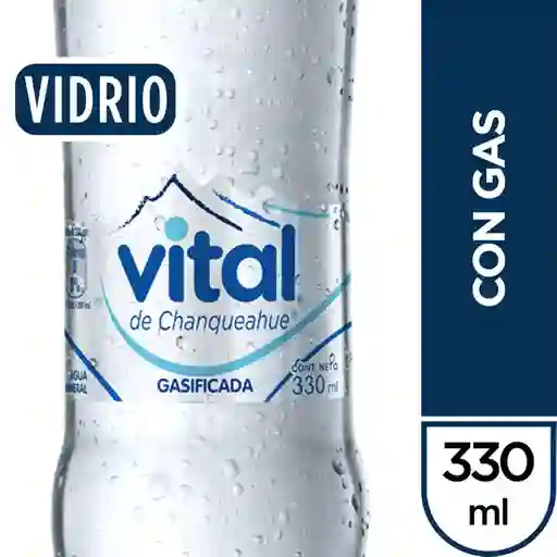 Agua con Gas 330 ml