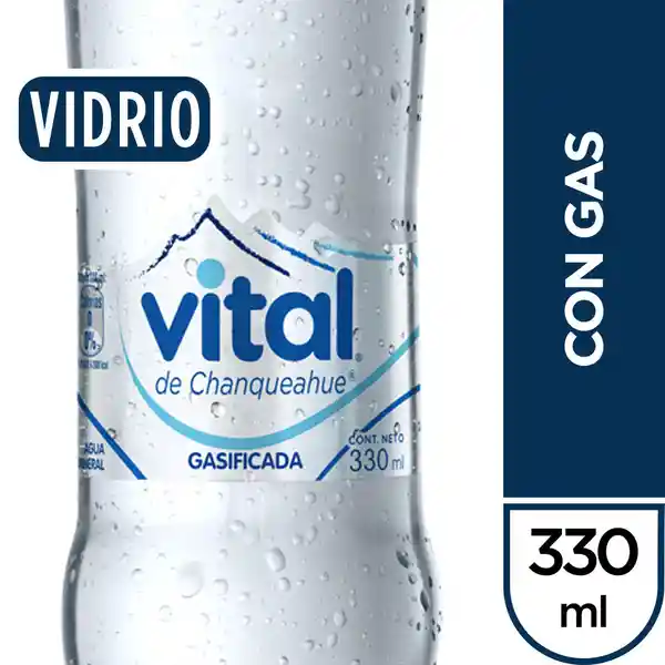 Vital Agua Con Gas