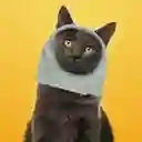 Gorro Para Mascota Pequeño Con Forma de Dinosaurio Miniso