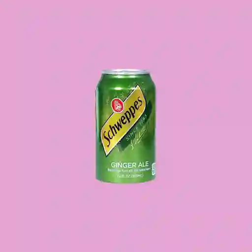 Schweppes Ginger Ale 350 Ml