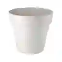 Maceta Plástica Con Ruedas 46.5 x 42.5 cm Casaideas