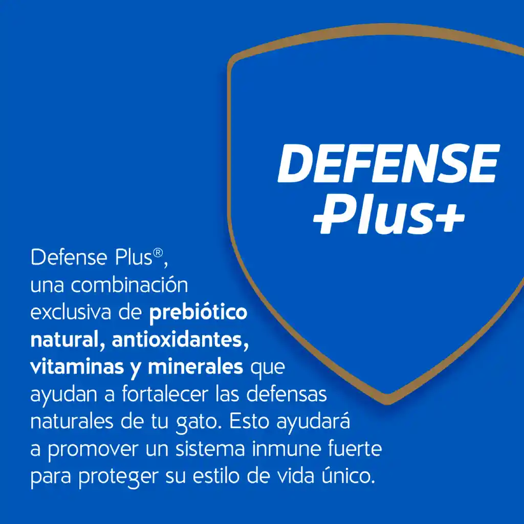 Cat Chow Alimento Gato Delimix 8 Kg