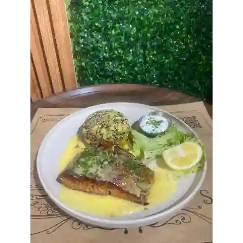 Salmón en Jardin Japones