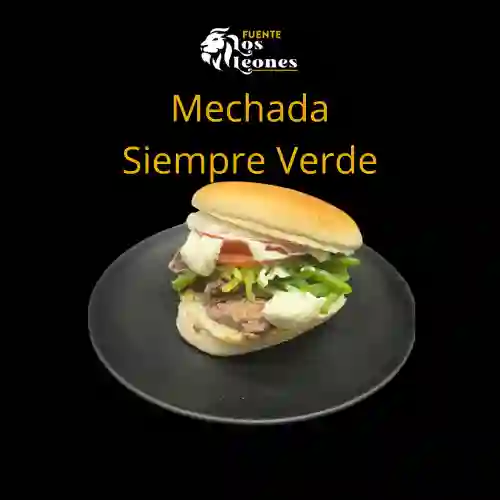 Mechada Siempre Verde