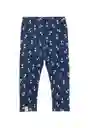 Leggins Tejida Arctic 198 Bebé Niña Azul 3 a 6 Meses Ficcus