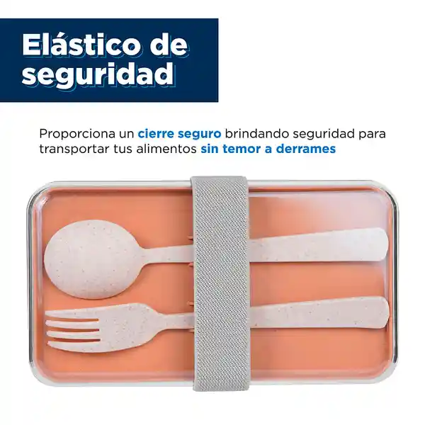 Contenedor de Paja de Doble Capa Miniso