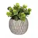 Planta Con Maceta Esférica 12 x 26 cm Casaideas