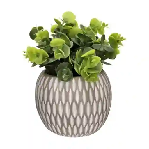 Planta Con Maceta Esférica 12 x 26 cm Casaideas