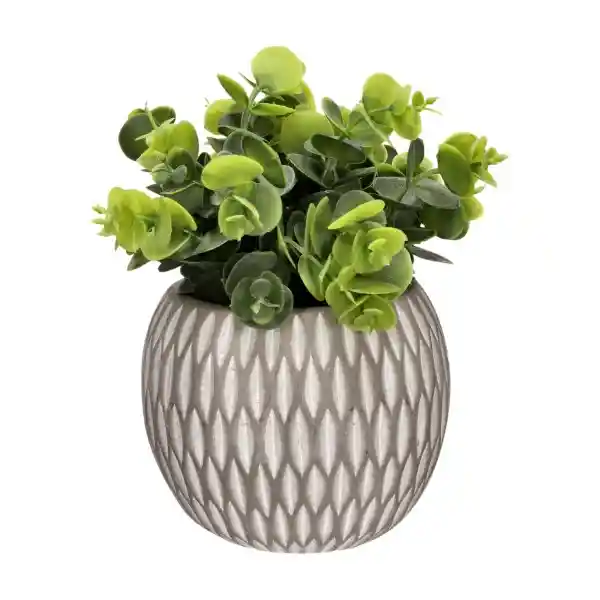 Planta Con Maceta Esférica 12 x 26 cm Casaideas