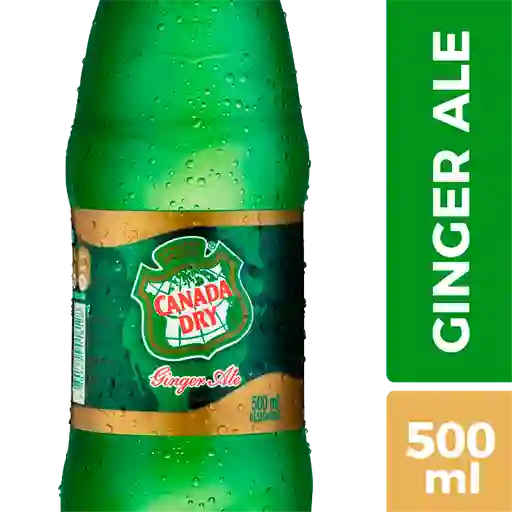 Canada Dry Orange 500 ml