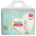 Pampers Pañales Premium Care Pants Talla M