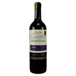 Frontera Vino Merlot 750 cc