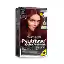 Nutrisse Tinturas Permanentes 260 Negro Rubi