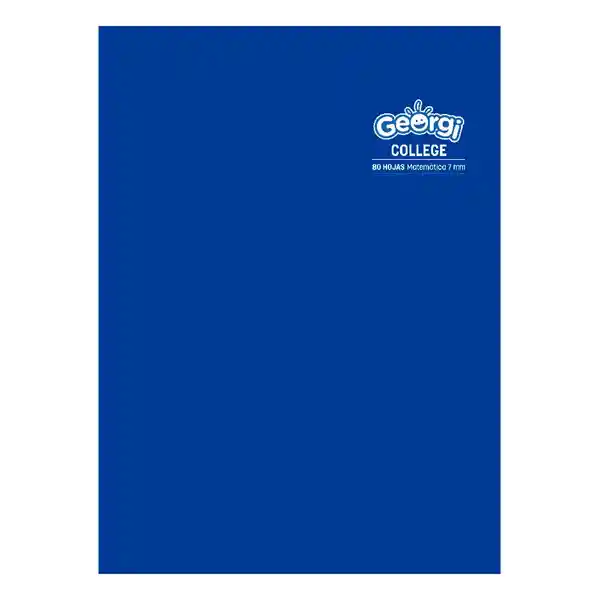 Artel Cuaderno College Georgi 80 Hojas Surtido