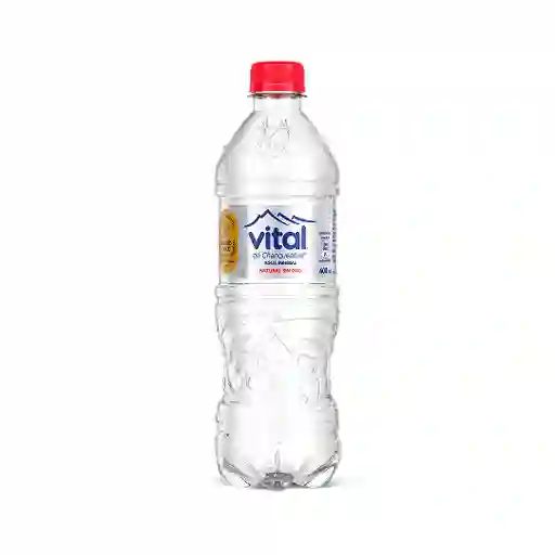 Agua vital 600ml