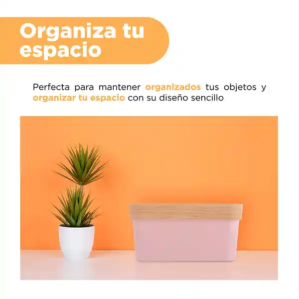 Organizador Con Tapa Rosa doMinios