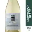 Leyda Vino Blanco Sauvignon Blanc