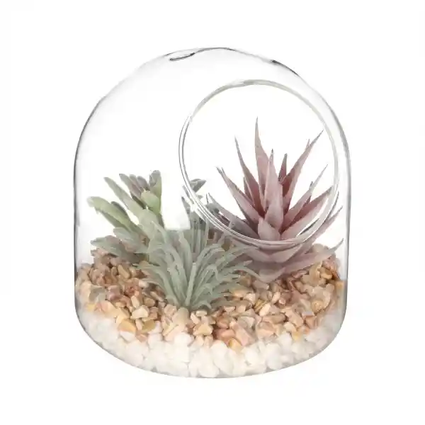 Terrario de Vidrio Con Cactus 12 cm 3226422000047