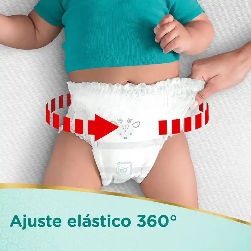 Pampers Pañales Pants Premium Care Talla G