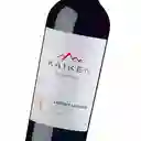 Kaiken Vino Cab Sauvbot