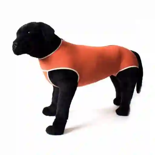 Kimbavet Body Cobre Tradicional T4