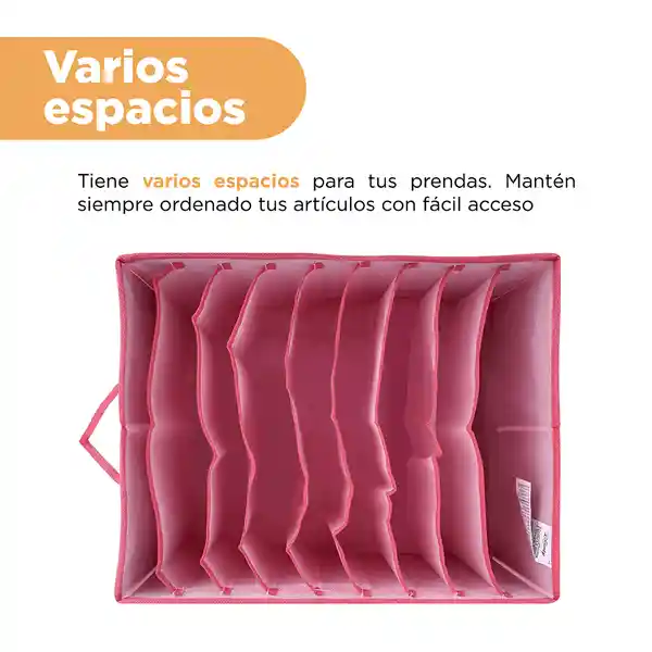 Organizador Con Compartimentos Miniso