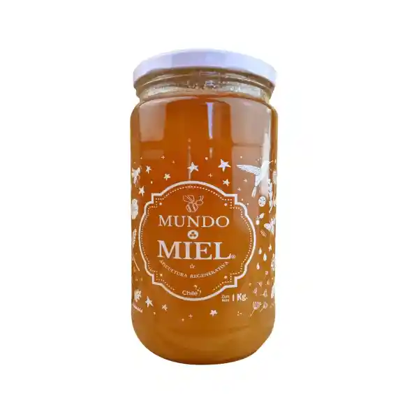 Mundo Miel Multifloral Nativa