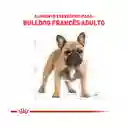 Royal Canin Alimento para Perro Adulto Bulldog Frances