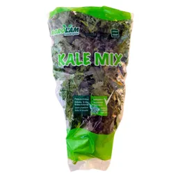 Kale Mix Frutas Mp