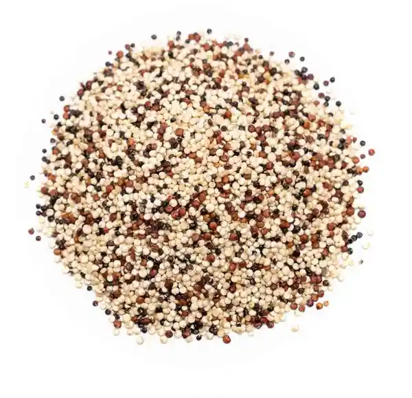 Quinoa Tricolor