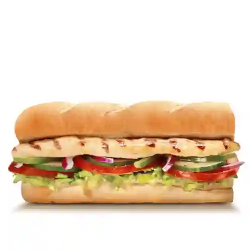 Pechuga de pollo 15cm