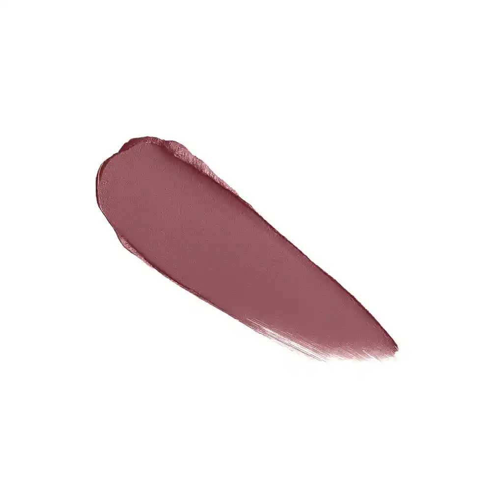 L'Oréal Paris Barra de Labios Ultra Matte Labial Color Riche 06