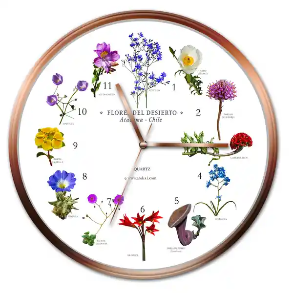 Reloj Pared Flores Del Desierto de Atacama