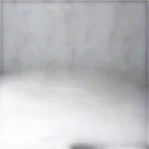 Promocion Pollo y Carne Vacuno Mixto