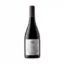 Errazuriz Vino Tinto Pinot Noir