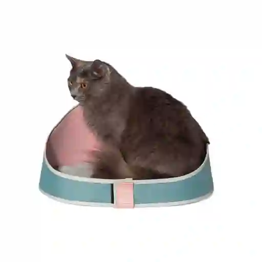 Zeecat Cama Gato Bed Kombucha