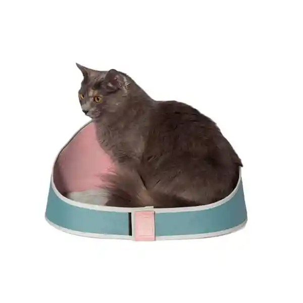Zeecat Cama Gato Bed Kombucha
