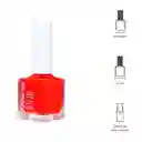 Esmalte Para Uñas a Base de Aceite Color Me Miniso
