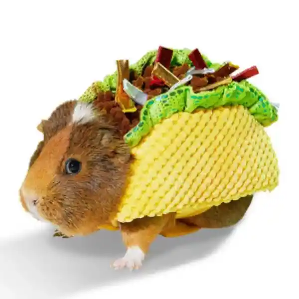 Bootique Disfraz en Forma de Taco Small Animals