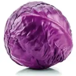 Repollo Morado