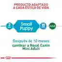 Royal Canin Alimento Para Perro Mini Puppy 2 Kg