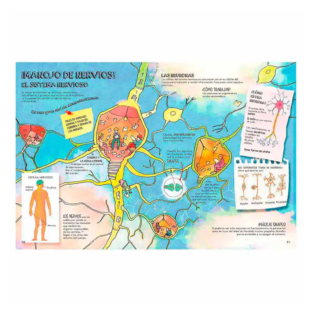 Descubre el Cuerpo Humano