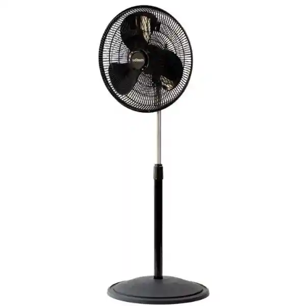 Thorben Ventilador Pedestal Dual Fan 16