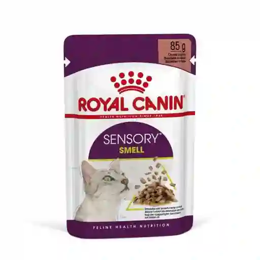 Royal Canin Alimento Húmedo Gato Sensory Smell Pouch