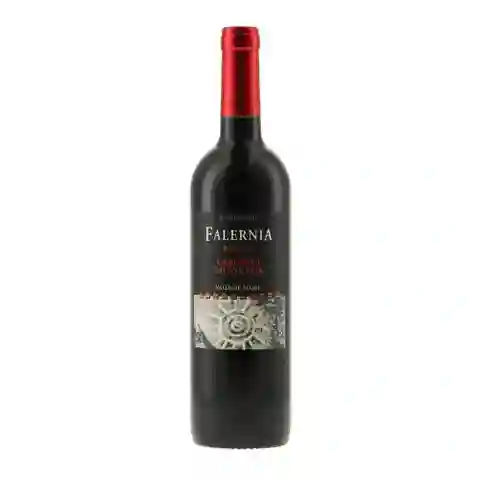 Falernia Vino Cab Sauv Res Bot 750 cc