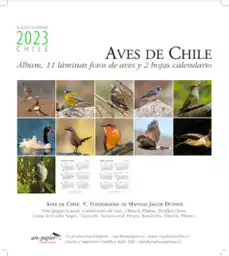 Calendario Album 2023 Aves de Chile Caja Acrilico