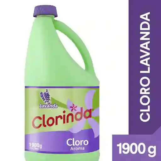 Clorinda Cloro Lavanda