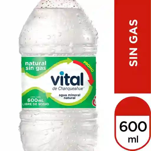 Agua Mineral Vital sin Gas 600 ml