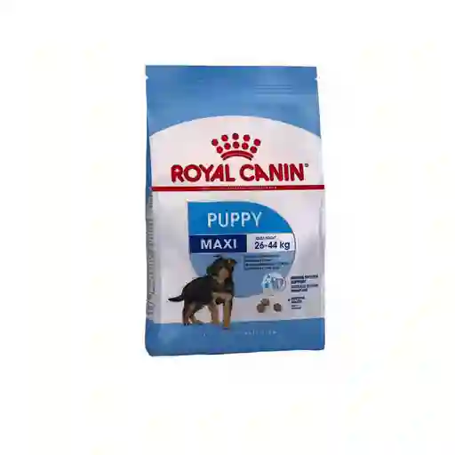 Royal Canin Alimento Para Perro Maxy Puppy