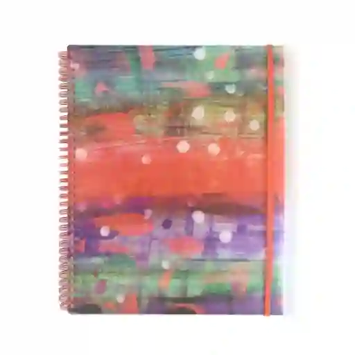 Organizador 12 Bolsillos